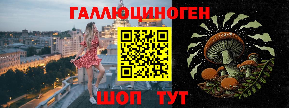 Псилоцибиновые грибы GOLDEN TEACHER Барнаул